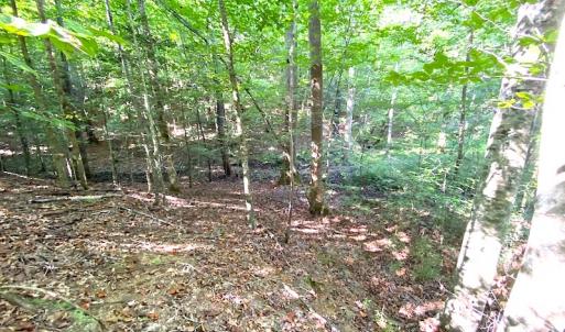 Photo #36 of Off Colonial Trail W, Spring Grove, VA 39.5 acres
