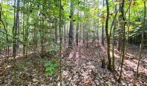 Photo #37 of Off Colonial Trail W, Spring Grove, VA 39.5 acres