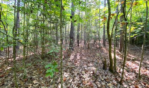 Photo #37 of SOLD property in Off Colonial Trail W, Spring Grove, VA 39.5 acres