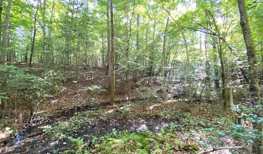 Photo #38 of Off Colonial Trail W, Spring Grove, VA 39.5 acres