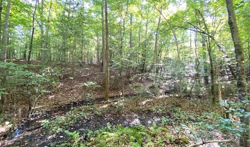 Photo #38 of SOLD property in Off Colonial Trail W, Spring Grove, VA 39.5 acres