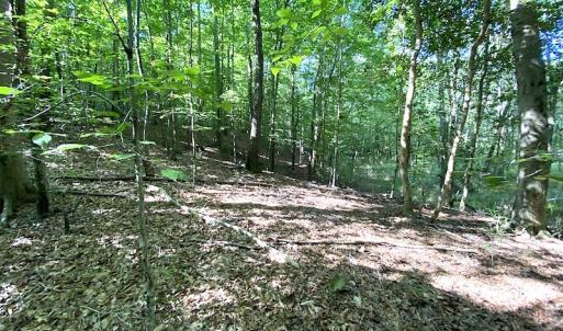 Photo #39 of Off Colonial Trail W, Spring Grove, VA 39.5 acres