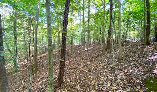 Photo #40 of Off Colonial Trail W, Spring Grove, VA 39.5 acres
