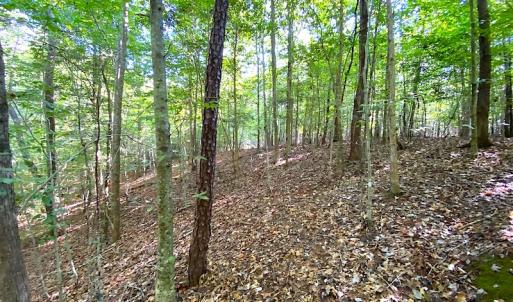 Photo #40 of SOLD property in Off Colonial Trail W, Spring Grove, VA 39.5 acres