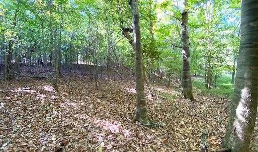 Photo #42 of SOLD property in Off Colonial Trail W, Spring Grove, VA 39.5 acres