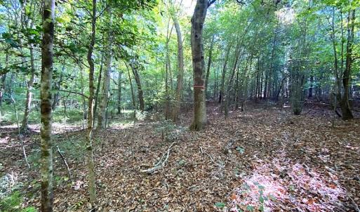 Photo #43 of SOLD property in Off Colonial Trail W, Spring Grove, VA 39.5 acres
