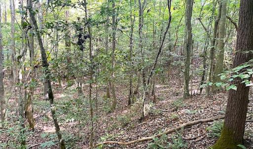 Photo #44 of Off Colonial Trail W, Spring Grove, VA 39.5 acres