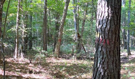 Photo #45 of Off Colonial Trail W, Spring Grove, VA 39.5 acres