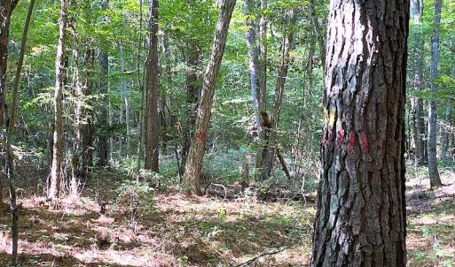 Photo #45 of SOLD property in Off Colonial Trail W, Spring Grove, VA 39.5 acres
