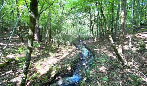 Photo #46 of SOLD property in Off Colonial Trail W, Spring Grove, VA 39.5 acres