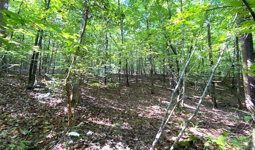 Photo #47 of SOLD property in Off Colonial Trail W, Spring Grove, VA 39.5 acres