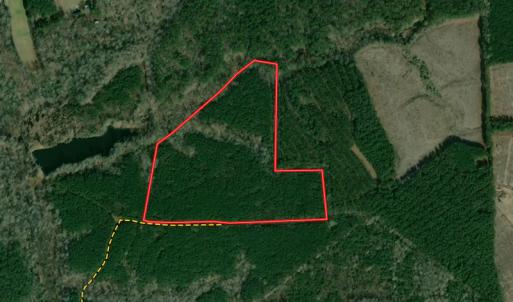 Photo #1 of Off Colonial Trail W, Spring Grove, VA 39.5 acres