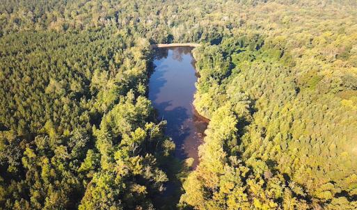 Photo #6 of SOLD property in Off Colonial Trail W, Spring Grove, NC 65.0 acres