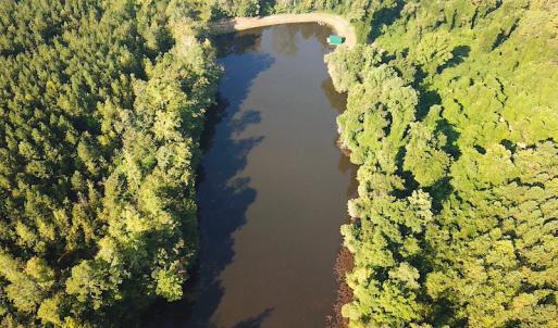 Photo #7 of SOLD property in Off Colonial Trail W, Spring Grove, NC 65.0 acres