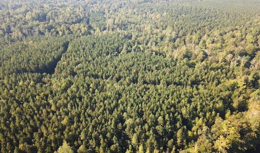 Photo #8 of SOLD property in Off Colonial Trail W, Spring Grove, NC 65.0 acres