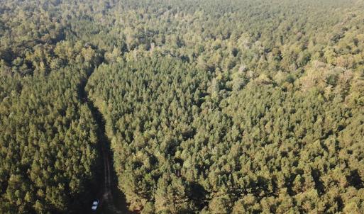 Photo #9 of SOLD property in Off Colonial Trail W, Spring Grove, NC 65.0 acres