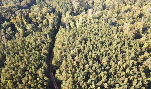 Photo #11 of SOLD property in Off Colonial Trail W, Spring Grove, NC 65.0 acres