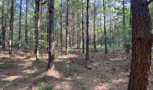 Photo #13 of Off Colonial Trail W, Spring Grove, NC 65.0 acres