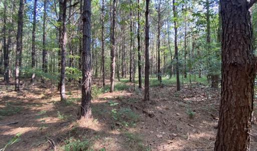 Photo #13 of SOLD property in Off Colonial Trail W, Spring Grove, NC 65.0 acres
