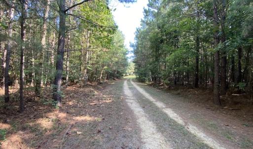 Photo #15 of SOLD property in Off Colonial Trail W, Spring Grove, NC 65.0 acres