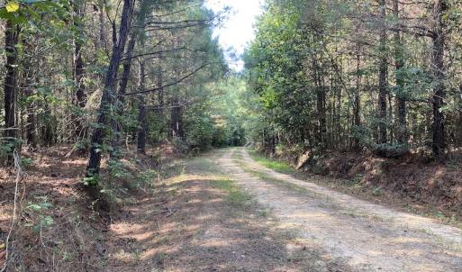 Photo #16 of Off Colonial Trail W, Spring Grove, NC 65.0 acres
