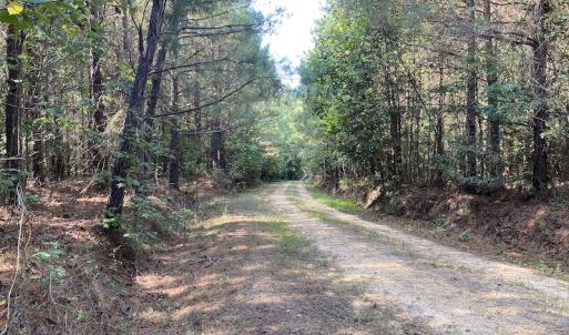 Photo #16 of SOLD property in Off Colonial Trail W, Spring Grove, NC 65.0 acres