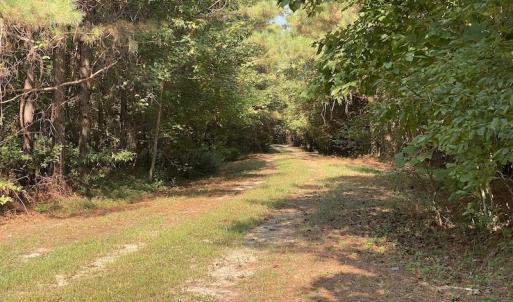 Photo #19 of SOLD property in Off Colonial Trail W, Spring Grove, NC 65.0 acres