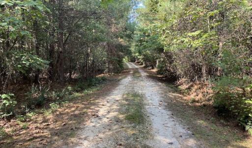 Photo #20 of SOLD property in Off Colonial Trail W, Spring Grove, NC 65.0 acres