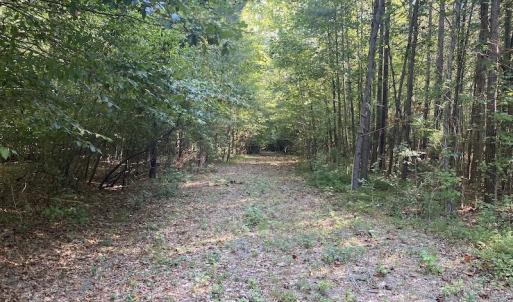 Photo #23 of Off Colonial Trail W, Spring Grove, NC 65.0 acres