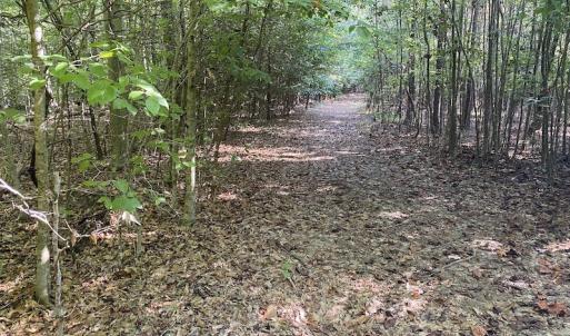 Photo #24 of SOLD property in Off Colonial Trail W, Spring Grove, NC 65.0 acres