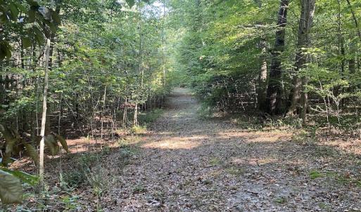 Photo #25 of SOLD property in Off Colonial Trail W, Spring Grove, NC 65.0 acres