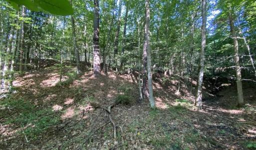Photo #26 of Off Colonial Trail W, Spring Grove, NC 65.0 acres