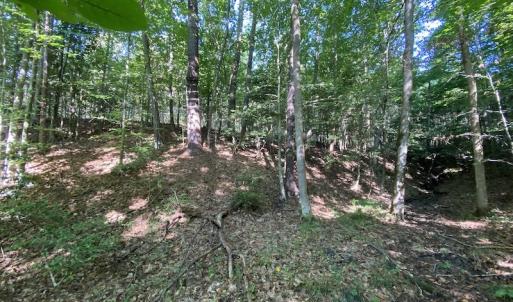 Photo #26 of SOLD property in Off Colonial Trail W, Spring Grove, NC 65.0 acres
