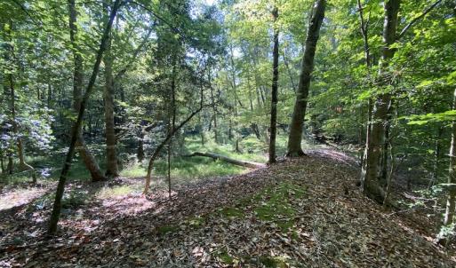 Photo #27 of Off Colonial Trail W, Spring Grove, NC 65.0 acres