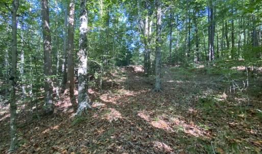 Photo #28 of SOLD property in Off Colonial Trail W, Spring Grove, NC 65.0 acres