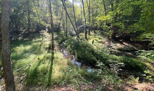 Photo #29 of SOLD property in Off Colonial Trail W, Spring Grove, NC 65.0 acres