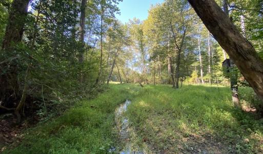 Photo #30 of Off Colonial Trail W, Spring Grove, NC 65.0 acres