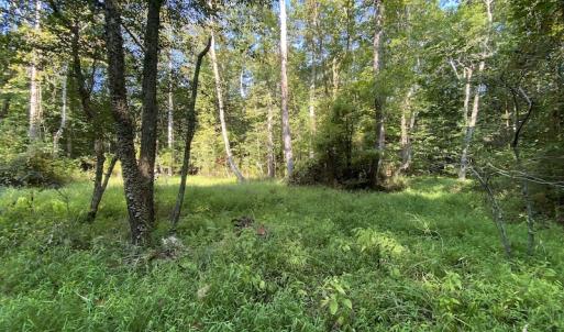 Photo #31 of SOLD property in Off Colonial Trail W, Spring Grove, NC 65.0 acres