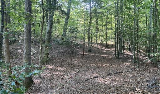 Photo #33 of SOLD property in Off Colonial Trail W, Spring Grove, NC 65.0 acres