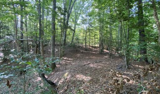 Photo #34 of SOLD property in Off Colonial Trail W, Spring Grove, NC 65.0 acres
