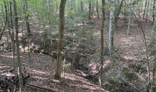 Photo #35 of Off Colonial Trail W, Spring Grove, NC 65.0 acres