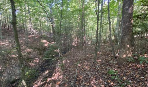 Photo #36 of SOLD property in Off Colonial Trail W, Spring Grove, NC 65.0 acres