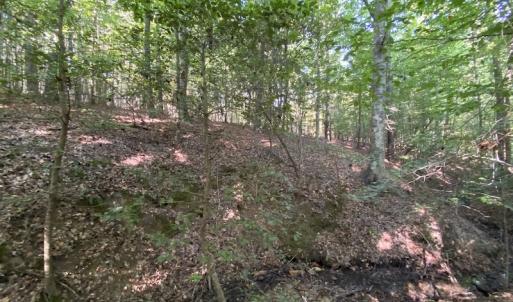 Photo #37 of SOLD property in Off Colonial Trail W, Spring Grove, NC 65.0 acres