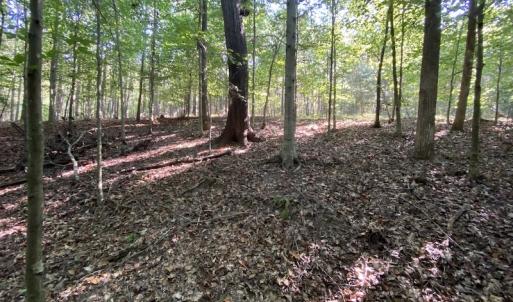 Photo #38 of Off Colonial Trail W, Spring Grove, NC 65.0 acres