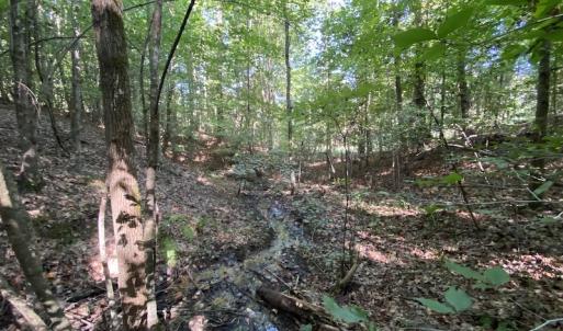 Photo #39 of SOLD property in Off Colonial Trail W, Spring Grove, NC 65.0 acres