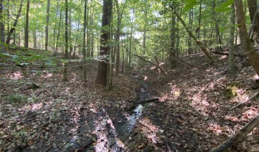 Photo #40 of SOLD property in Off Colonial Trail W, Spring Grove, NC 65.0 acres