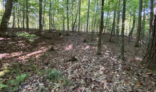 Photo #41 of Off Colonial Trail W, Spring Grove, NC 65.0 acres
