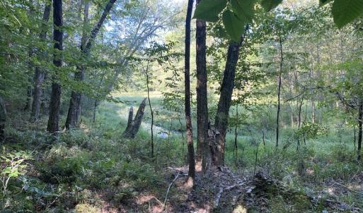 Photo #42 of SOLD property in Off Colonial Trail W, Spring Grove, NC 65.0 acres