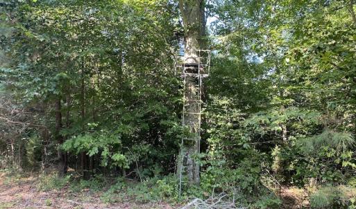 Photo #43 of Off Colonial Trail W, Spring Grove, NC 65.0 acres