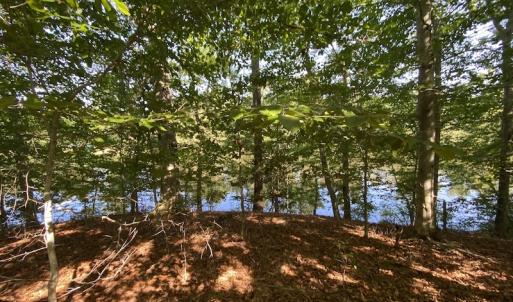 Photo #46 of Off Colonial Trail W, Spring Grove, NC 65.0 acres